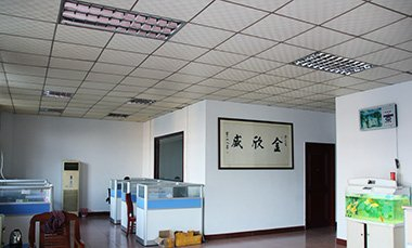 Foshan Jinxinsheng Vacuum Equipment Co., Ltd.