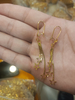 Fashion Earring PVD Coating Machine, Anti-Tarnish And Wear-Resistant Coating
