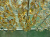 Crystal Glass Chandelier Pendants with PVD Coating High Transparency And Sparkling Refraction