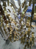 Green Process Metal Decorative Cathodic Arc Deposition System